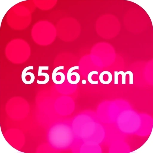 6566.com